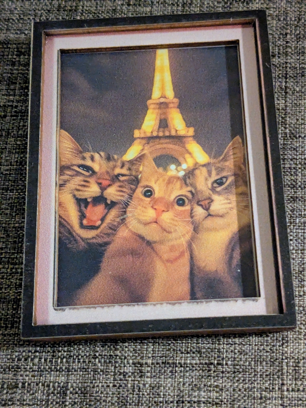 Framed Cat Magnet/Frame Showing Playful Cats Taking A Selfie At The Eiffel Tower